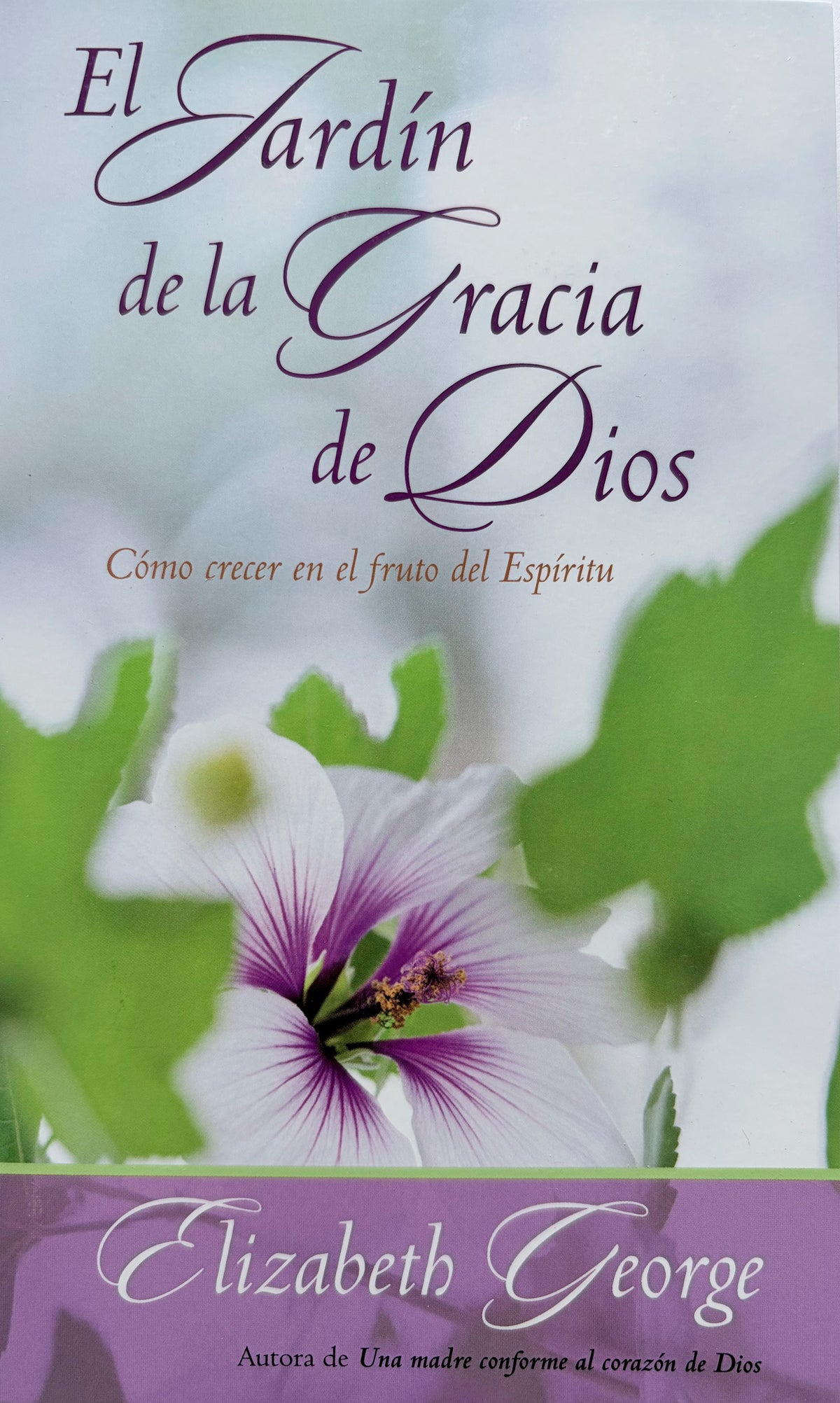 El Jardín de la Gracia de Dios