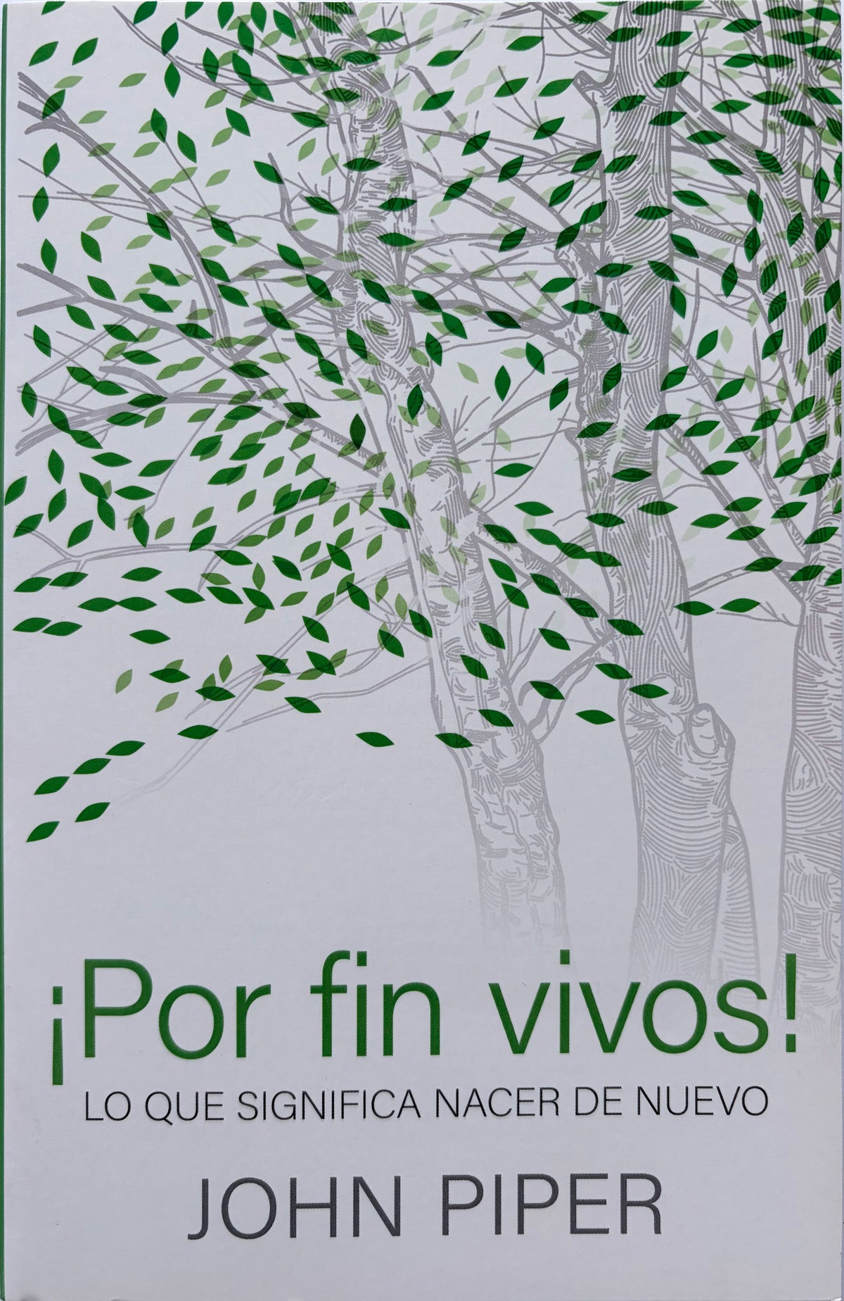 ¡Por fin vivos!